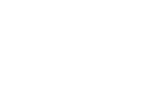 Auto Motor i Sport